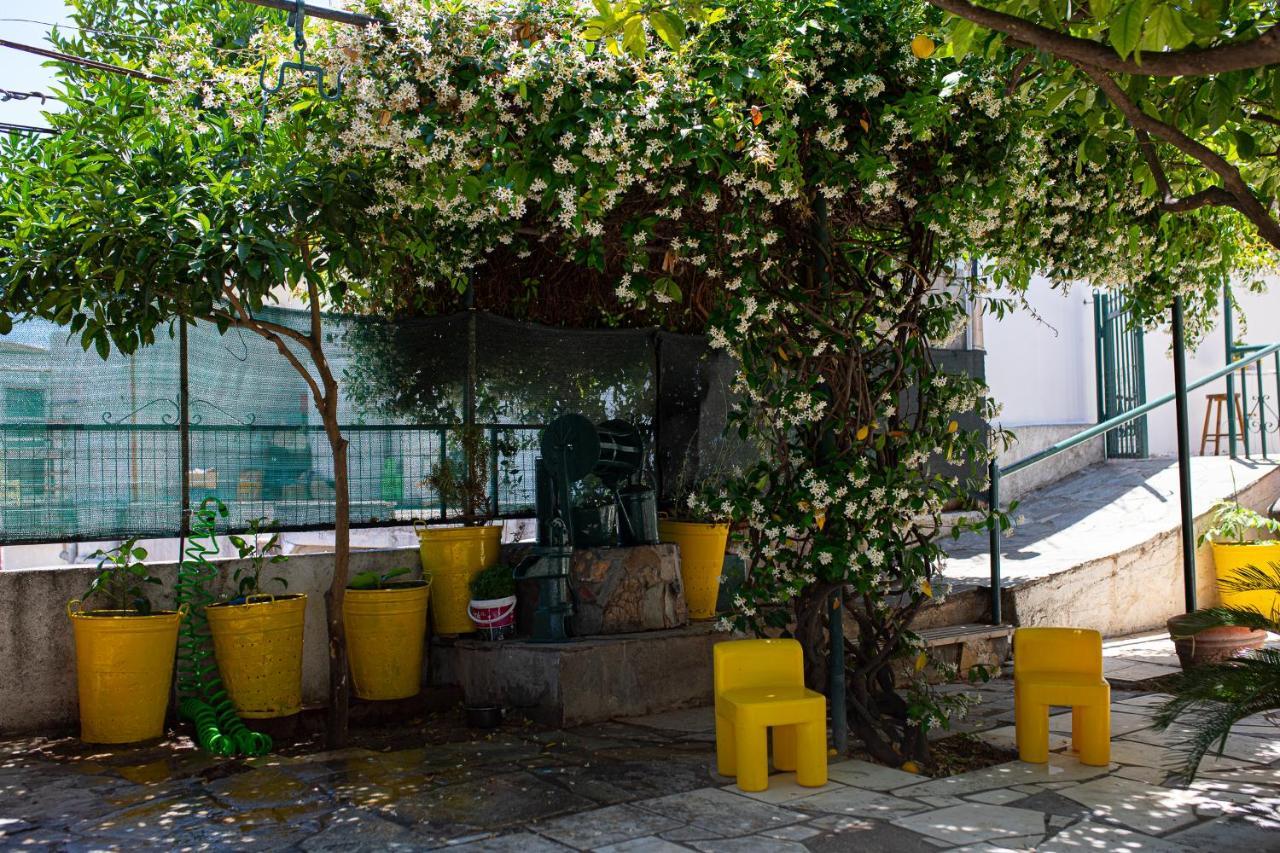 Lemon Tree Family House Hébergement de vacances