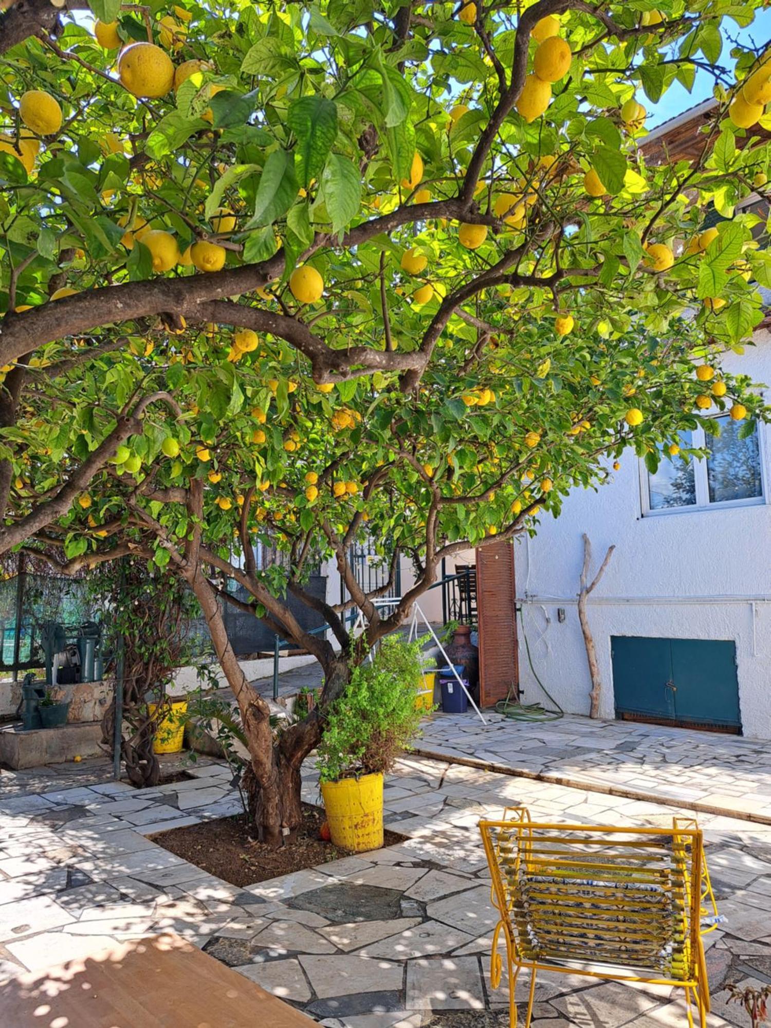 Hébergement de vacances Lemon Tree Family House Vrahati